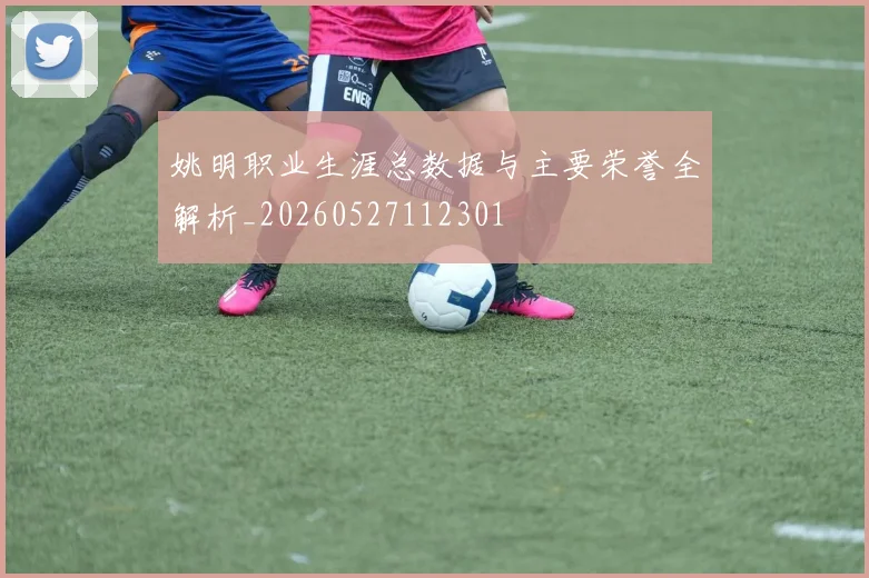 姚明职业生涯总数据与主要荣誉全解析_20260527112301