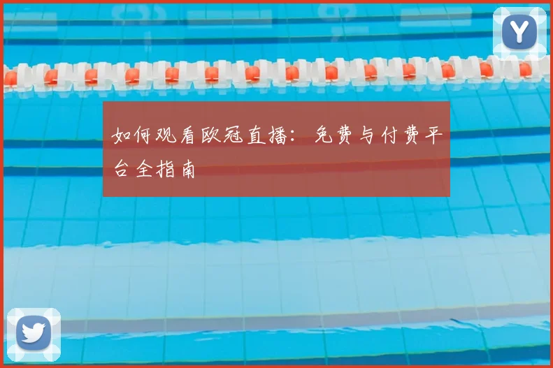 如何观看欧冠直播：免费与付费平台全指南